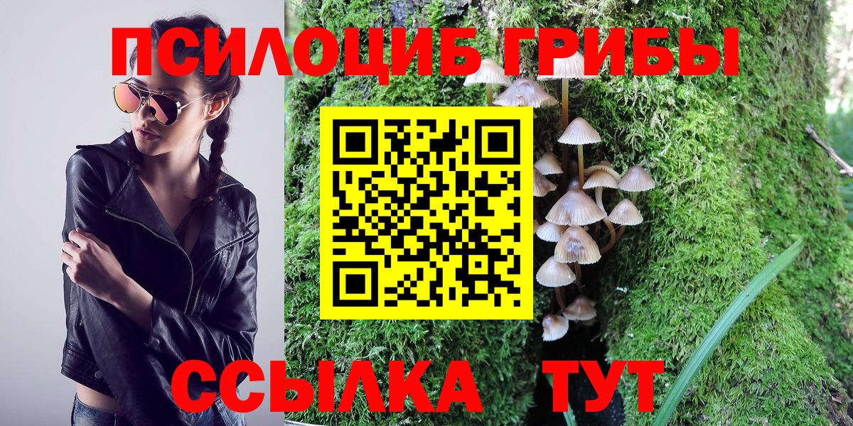 Галлюциногенные грибы прущие грибы Карталы
