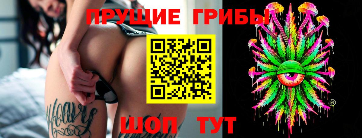 Галлюциногенные грибы GOLDEN TEACHER  Вход с VPN  Карталы 